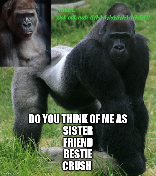 gorilla temp | DO YOU THINK OF ME AS
SISTER
FRIEND
BESTIE
CRUSH | image tagged in gorilla temp | made w/ Imgflip meme maker