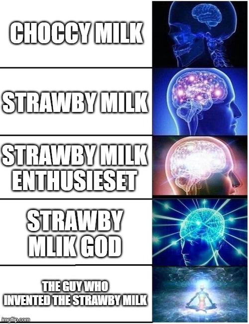 Expanding Brain 5 Panel | CHOCCY MILK STRAWBY MILK STRAWBY MILK ENTHUSIESET STRAWBY MLIK GOD THE GUY WHO INVENTED THE STRAWBY MILK | image tagged in expanding brain 5 panel | made w/ Imgflip meme maker