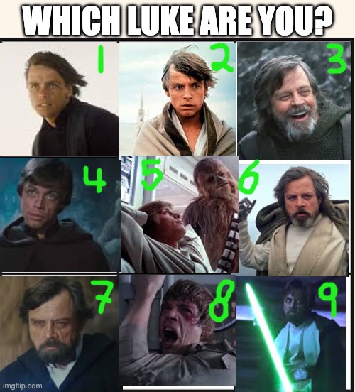 Luke Skywalker | WHICH LUKE ARE YOU? | image tagged in which one are you | made w/ Imgflip meme maker