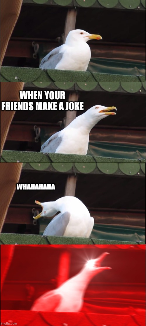 meme | WHEN YOUR FRIENDS MAKE A JOKE; WHAHAHAHA | image tagged in memes,inhaling seagull | made w/ Imgflip meme maker