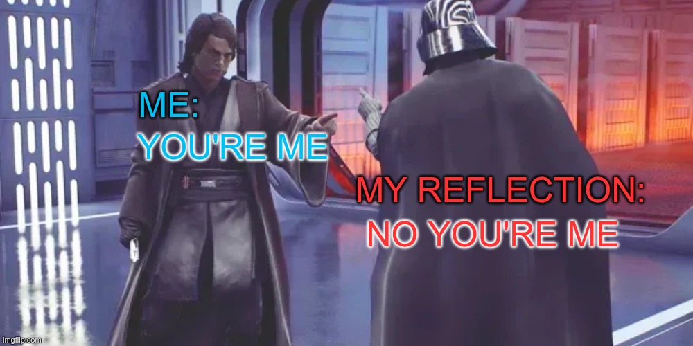 Yep this is perfectly normal | ME:; YOU'RE ME; MY REFLECTION:; NO YOU'RE ME | image tagged in anakin vs darth vader,me,my reflection,youre me,no youre me | made w/ Imgflip meme maker
