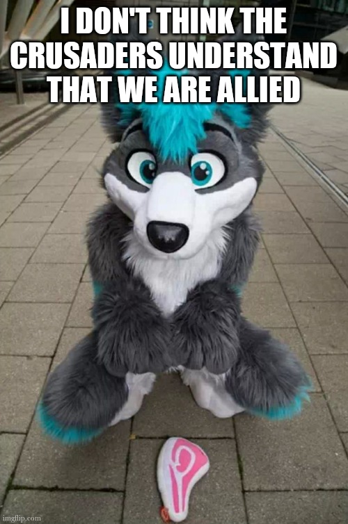 Come on guys | I DON'T THINK THE CRUSADERS UNDERSTAND THAT WE ARE ALLIED | image tagged in furry | made w/ Imgflip meme maker