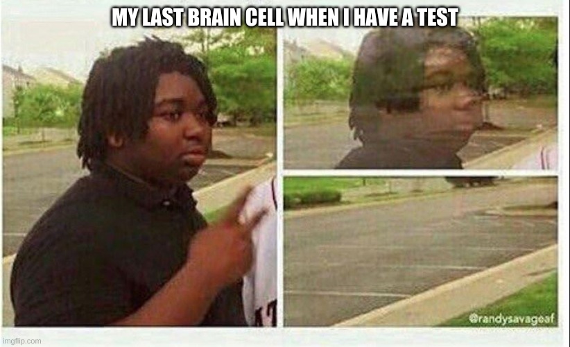 Im so toast ( dont worry no test... yet) | MY LAST BRAIN CELL WHEN I HAVE A TEST | image tagged in black guy disappearing | made w/ Imgflip meme maker