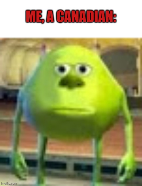 Sully Wazowski | ME, A CANADIAN: | image tagged in sully wazowski | made w/ Imgflip meme maker