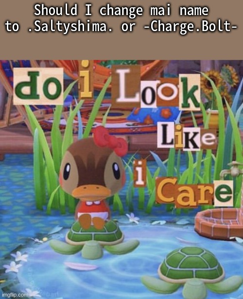Do I look like I care | Should I change mai name to .Saltyshima. or -Charge.Bolt- | image tagged in do i look like i care | made w/ Imgflip meme maker