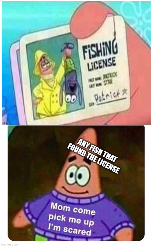 Patrick Mom come pick me up I'm scared | ANY FISH THAT FOUND THE LICENSE | image tagged in patrick mom come pick me up i'm scared | made w/ Imgflip meme maker