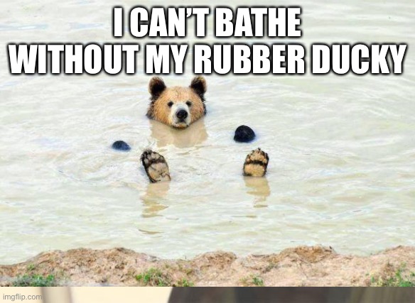 Bathingbear | I CAN’T BATHE WITHOUT MY RUBBER DUCKY | image tagged in rubber ducks | made w/ Imgflip meme maker