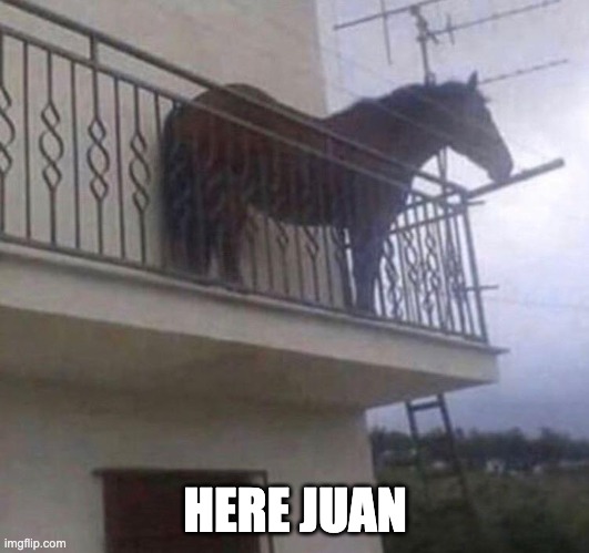 Juan | HERE JUAN | image tagged in juan | made w/ Imgflip meme maker