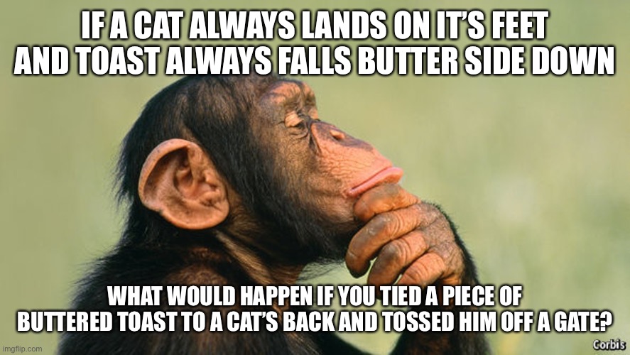 Pondering | IF A CAT ALWAYS LANDS ON IT’S FEET
AND TOAST ALWAYS FALLS BUTTER SIDE DOWN; WHAT WOULD HAPPEN IF YOU TIED A PIECE OF BUTTERED TOAST TO A CAT’S BACK AND TOSSED HIM OFF A GATE? | image tagged in pondering | made w/ Imgflip meme maker