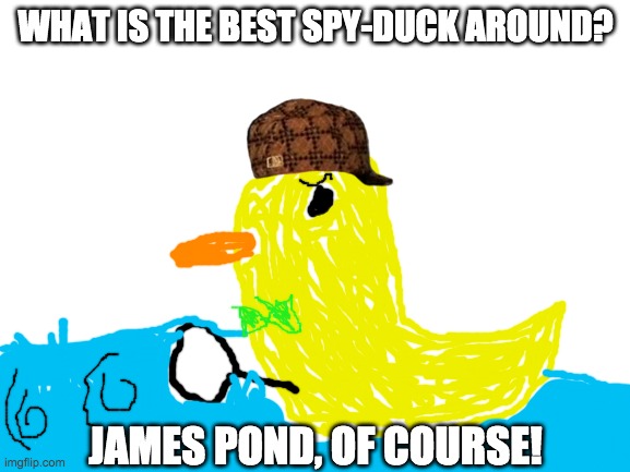 What is the best spy duck around? | WHAT IS THE BEST SPY-DUCK AROUND? JAMES POND, OF COURSE! | image tagged in duck,pond,james bond,jokes,duck jokes,spy | made w/ Imgflip meme maker