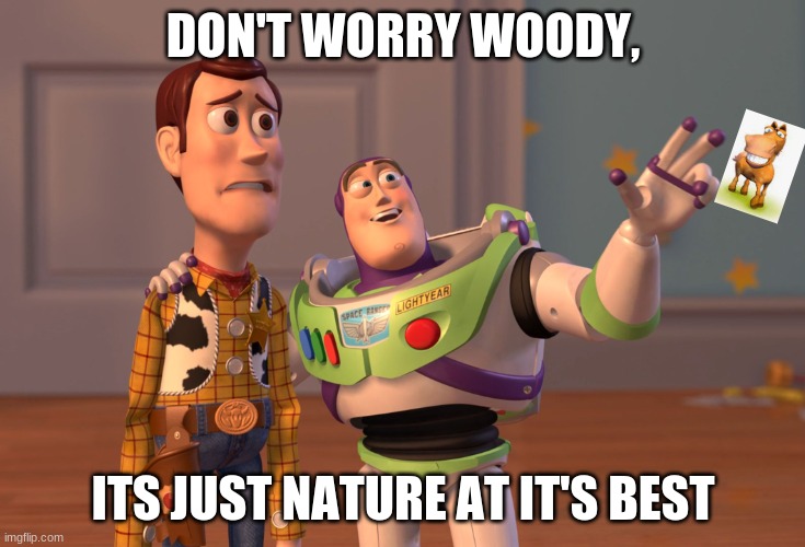 Funny Cartoon Animal Meme | DON'T WORRY WOODY, ITS JUST NATURE AT IT'S BEST | image tagged in memes,x x everywhere | made w/ Imgflip meme maker