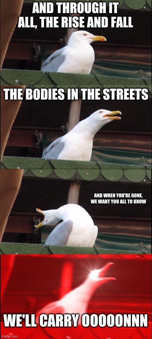 MCR | AND THROUGH IT ALL, THE RISE AND FALL; THE BODIES IN THE STREETS; AND WHEN YOU'RE GONE, WE WANT YOU ALL TO KNOW; WE'LL CARRY OOOOONNN | image tagged in memes,inhaling seagull | made w/ Imgflip meme maker