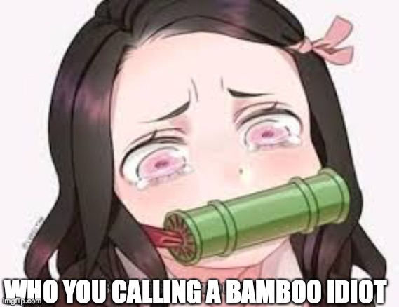 WHO YOU CALLING A BAMBOO IDIOT | made w/ Imgflip meme maker