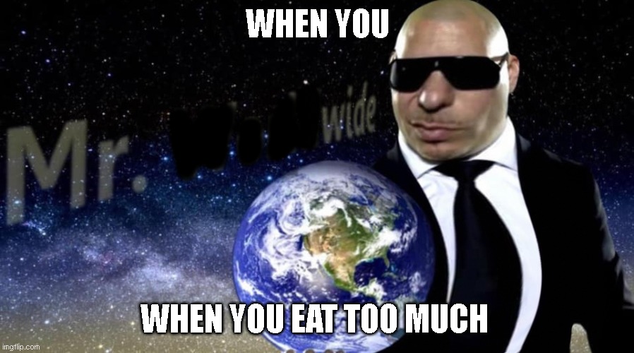 Mr. Wide | WHEN YOU; WHEN YOU EAT TOO MUCH | image tagged in mr worldwide,memes,stop reading the tags,please help me | made w/ Imgflip meme maker