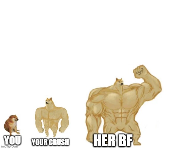 cheems, buff doge, ultra doge | HER BF; YOU; YOUR CRUSH | image tagged in cheems buff doge ultra doge | made w/ Imgflip meme maker