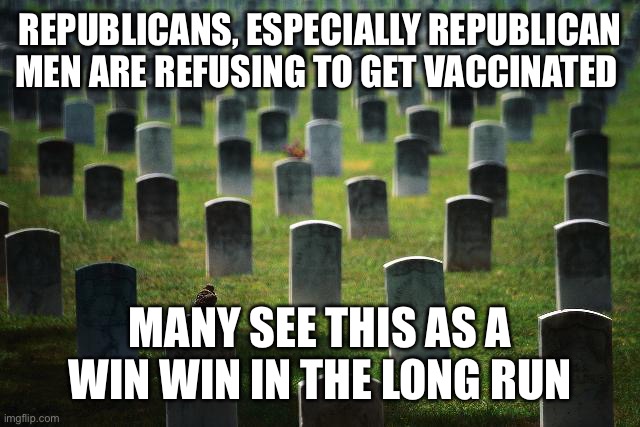 The more people like them will mean less people like them | REPUBLICANS, ESPECIALLY REPUBLICAN MEN ARE REFUSING TO GET VACCINATED; MANY SEE THIS AS A WIN WIN IN THE LONG RUN | image tagged in graveyard cemetary | made w/ Imgflip meme maker