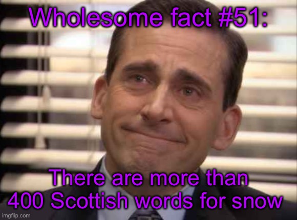 Just a daily dose of wholesome facts | Wholesome fact #51:; There are more than 400 Scottish words for snow | image tagged in wholesome | made w/ Imgflip meme maker