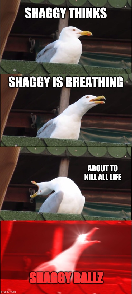 Inhaling Seagull | SHAGGY THINKS; SHAGGY IS BREATHING; ABOUT TO KILL ALL LIFE; SHAGGY BALLZ | image tagged in memes,inhaling seagull | made w/ Imgflip meme maker
