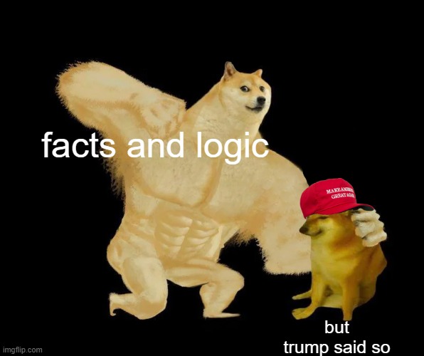 buff doge punching cheems | facts and logic; but trump said so | image tagged in buff doge punching cheems | made w/ Imgflip meme maker