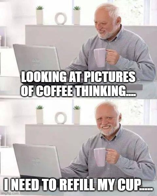 coffee time | LOOKING AT PICTURES OF COFFEE THINKING.... I NEED TO REFILL MY CUP..... | image tagged in memes,hide the pain harold | made w/ Imgflip meme maker