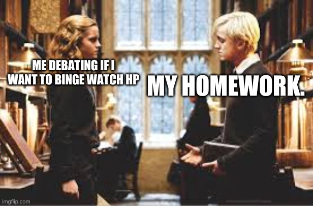 why is this true | MY HOMEWORK. ME DEBATING IF I WANT TO BINGE WATCH HP | image tagged in funny memes | made w/ Imgflip meme maker