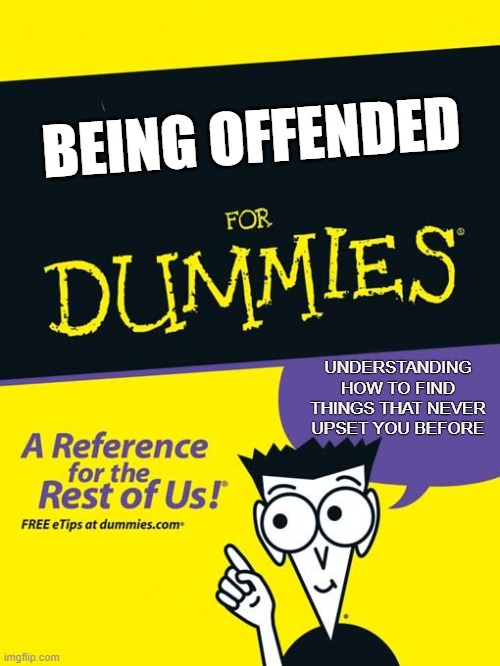 BEING OFFENDED for DUMMIES | BEING OFFENDED; UNDERSTANDING HOW TO FIND THINGS THAT NEVER UPSET YOU BEFORE | image tagged in for dummies book,offended,triggered,woke,upset | made w/ Imgflip meme maker