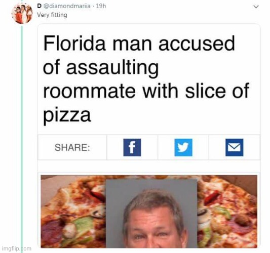 A piece of pizza | made w/ Imgflip meme maker