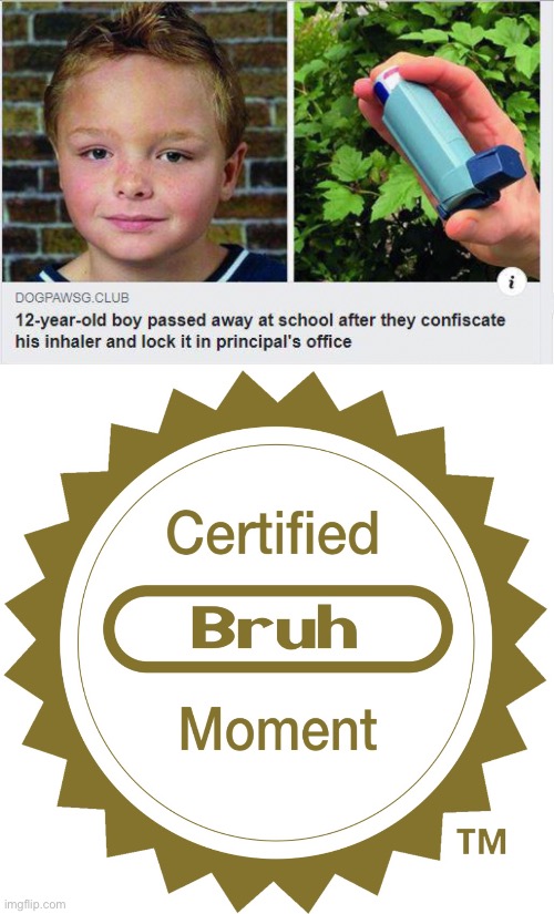 certified bruh moment