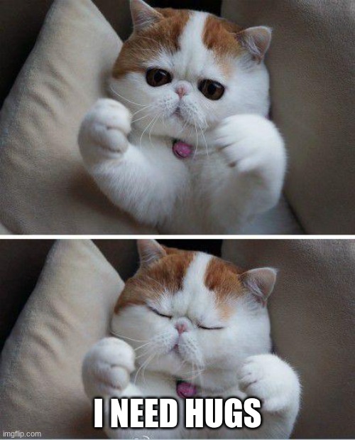 pwease UwU? | I NEED HUGS | image tagged in i need hugs cat | made w/ Imgflip meme maker