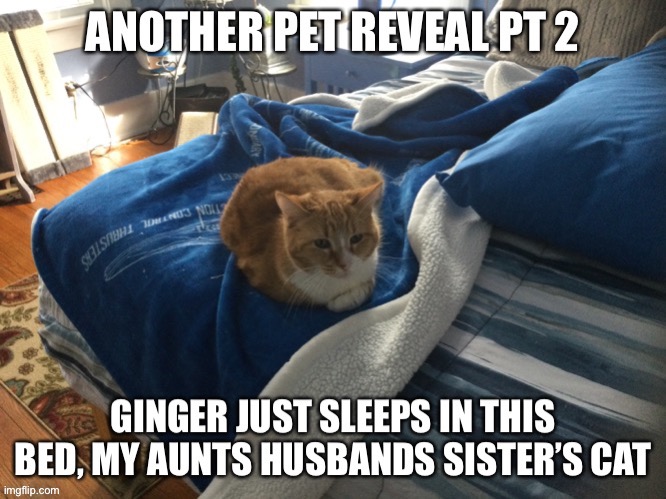 Adorable ginger | made w/ Imgflip meme maker