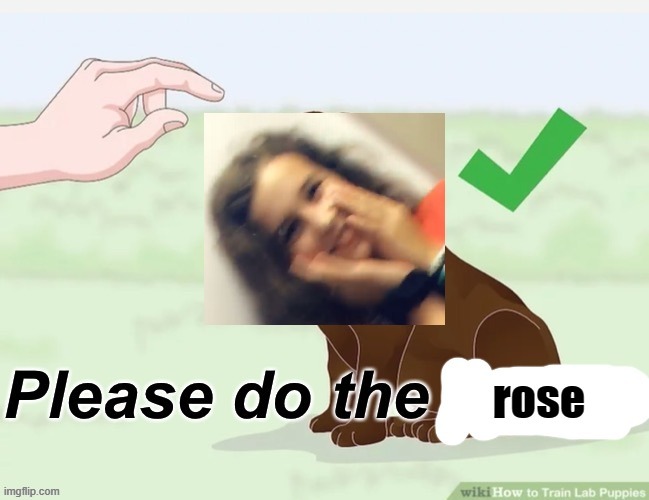 i made this a template *wheeze* | image tagged in please do the rose | made w/ Imgflip meme maker