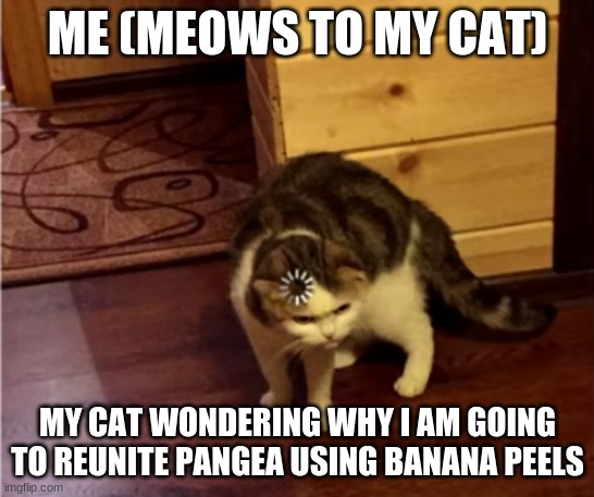Loading Cat HD | ME (MEOWS TO MY CAT) MY CAT WONDERING WHY I AM GOING TO REUNITE PANGEA USING BANANA PEELS | image tagged in loading cat hd | made w/ Imgflip meme maker