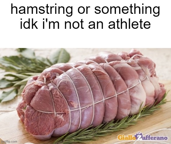 is that what they mean | hamstring or something idk i'm not an athlete | image tagged in memes | made w/ Imgflip meme maker