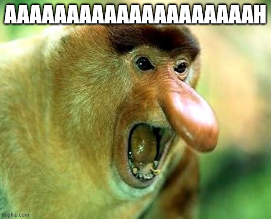 Screaming monkey | AAAAAAAAAAAAAAAAAAAAH | image tagged in screaming monkey | made w/ Imgflip meme maker