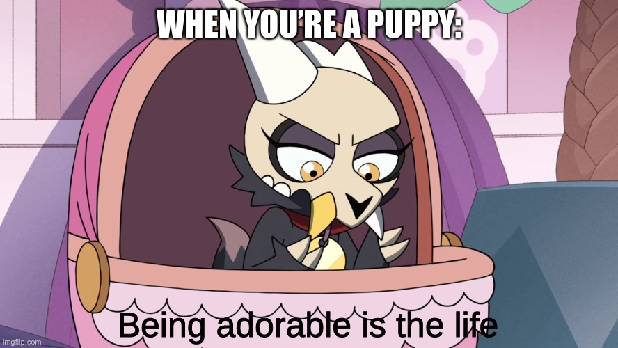Puppy life |  WHEN YOU’RE A PUPPY: | image tagged in the owl house,dogs | made w/ Imgflip meme maker