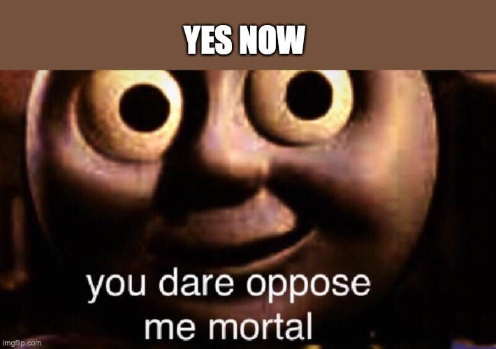 You dare oppose me mortal | YES NOW | image tagged in you dare oppose me mortal | made w/ Imgflip meme maker