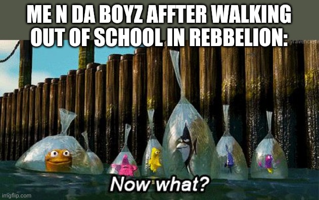Now What? | ME N DA BOYZ AFFTER WALKING OUT OF SCHOOL IN REBBELION: | image tagged in now what,finding nemo,school,me and the boys,rebbelion | made w/ Imgflip meme maker