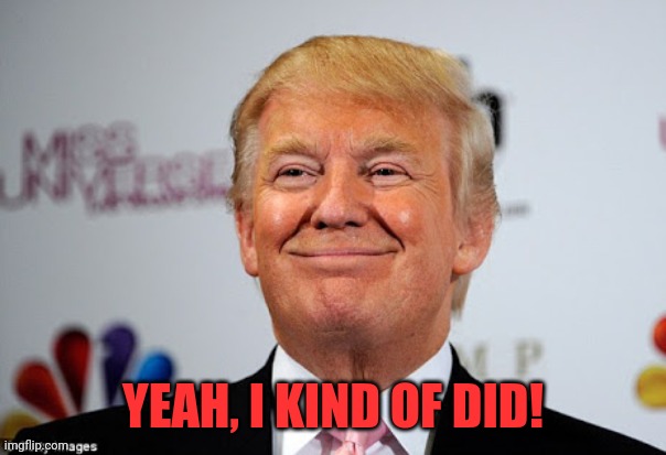 Donald trump approves | YEAH, I KIND OF DID! | image tagged in donald trump approves | made w/ Imgflip meme maker