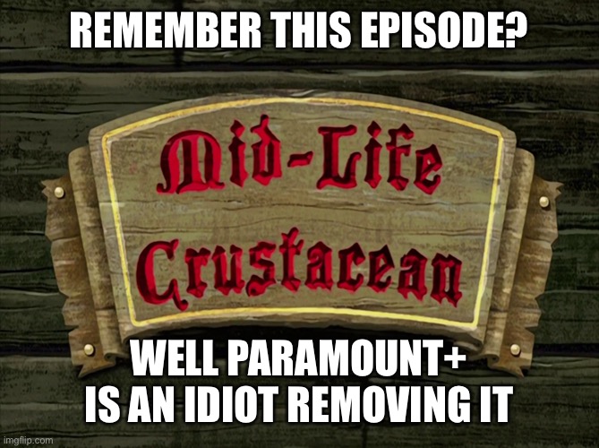 Thanks to Vailskibum for telling this to everyone on YouTube | REMEMBER THIS EPISODE? WELL PARAMOUNT+ IS AN IDIOT REMOVING IT | made w/ Imgflip meme maker