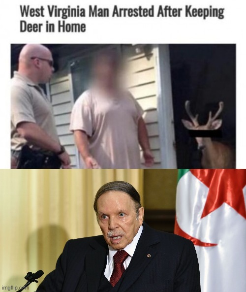 image tagged in you're kidding me | made w/ Imgflip meme maker