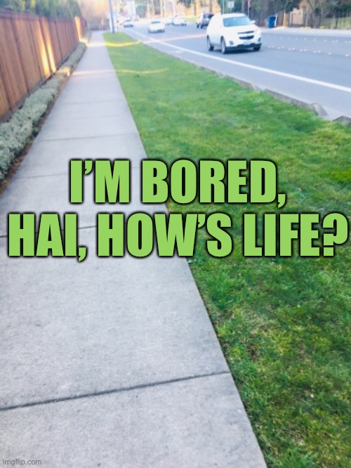 I’M BORED, HAI, HOW’S LIFE? | made w/ Imgflip meme maker