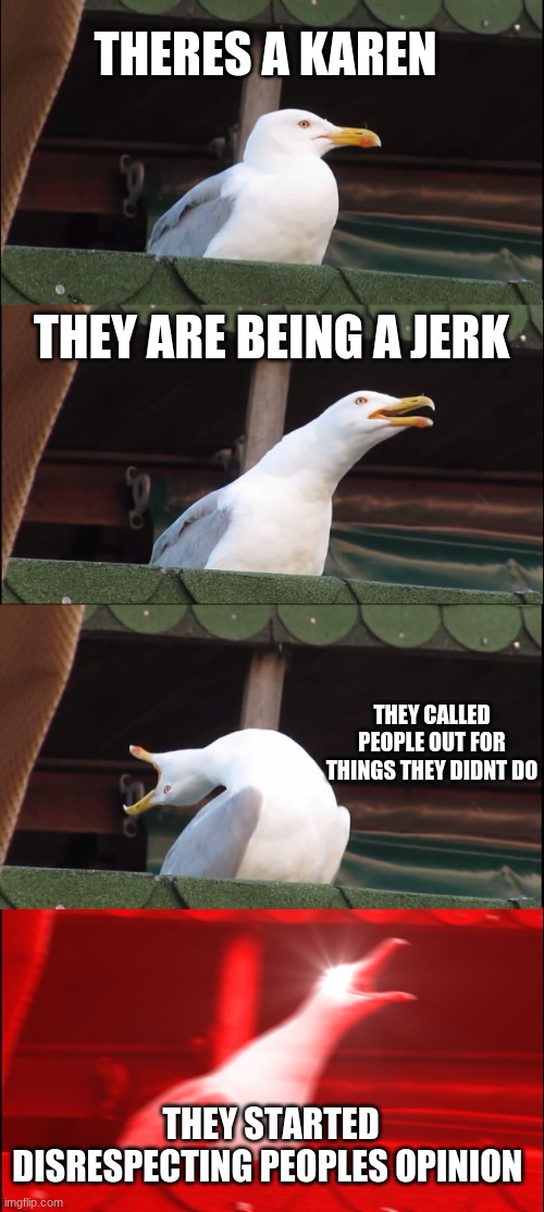 Inhaling Seagull Meme | THERES A KAREN; THEY ARE BEING A JERK; THEY CALLED PEOPLE OUT FOR THINGS THEY DIDNT DO; THEY STARTED DISRESPECTING PEOPLES OPINION | image tagged in memes,inhaling seagull | made w/ Imgflip meme maker