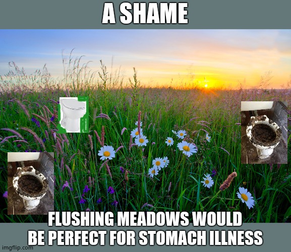 Sunrise meadow | A SHAME FLUSHING MEADOWS WOULD BE PERFECT FOR STOMACH ILLNESS | image tagged in sunrise meadow | made w/ Imgflip meme maker