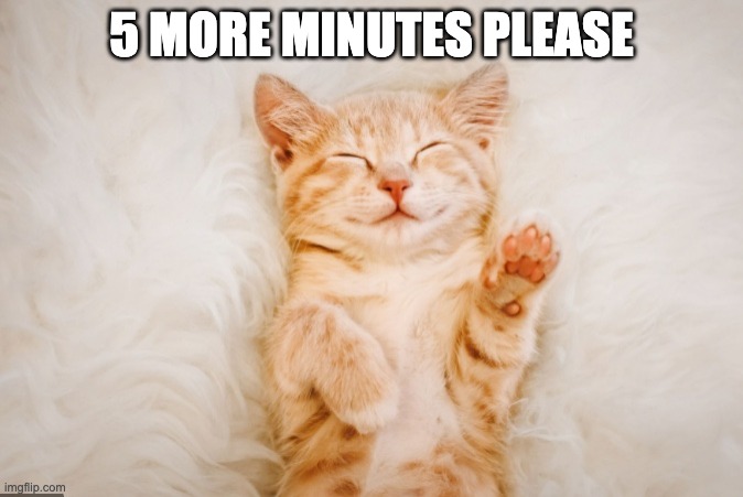 pretty please | 5 MORE MINUTES PLEASE | image tagged in kittens | made w/ Imgflip meme maker
