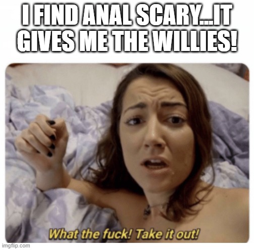 Scary Intercourse | I FIND ANAL SCARY...IT GIVES ME THE WILLIES! | image tagged in what the fuck take it out | made w/ Imgflip meme maker