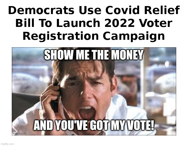 Show Me The Money | image tagged in show me the money,democrats,covid,relief,bill,2022 election | made w/ Imgflip meme maker