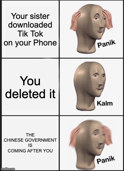 Allow "Tik Tok" to access location? | Your sister downloaded Tik Tok on your Phone; You deleted it; THE CHINESE GOVERNMENT IS COMING AFTER YOU | image tagged in memes,panik kalm panik | made w/ Imgflip meme maker