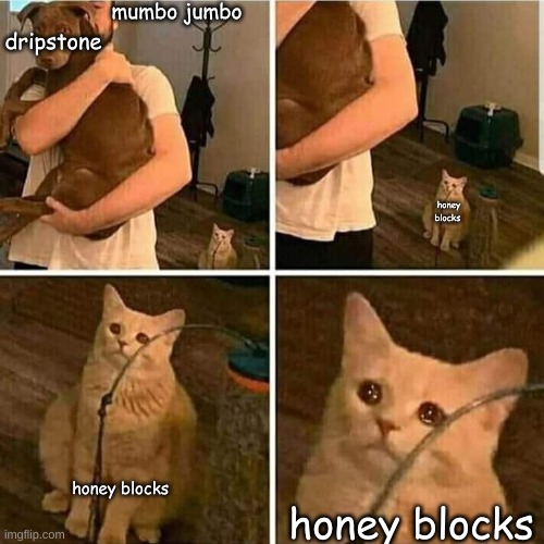 anyone a mumbo fan? | mumbo jumbo; dripstone; honey blocks; honey blocks; honey blocks | image tagged in sad cat holding dog,mumbo jumbo | made w/ Imgflip meme maker