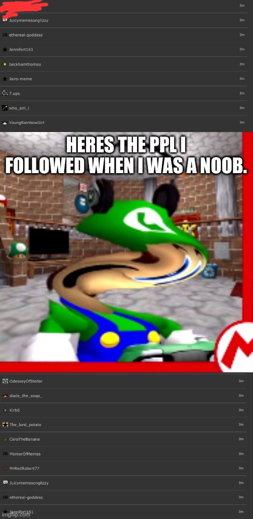 E | HERES THE PPL I FOLLOWED WHEN I WAS A NOOB. | image tagged in what | made w/ Imgflip meme maker