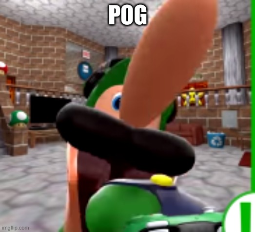 XDDDDDDDD | POG | image tagged in xdddddddd | made w/ Imgflip meme maker